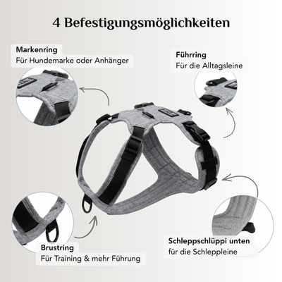Emmy & Pepe Hundegeschirr Stone (Grau) mit 4 Befestigungsmöglichkeiten: Markenring, Führring, Brustring und Schlaufe für die Schleppleine