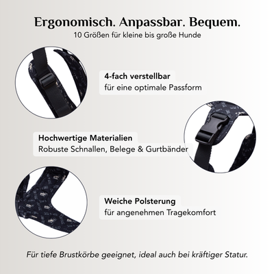 Emmy & Pepe Hundegeschirr Wau Effekt Black mit 4 Befestigungsmöglichkeiten: Markenring für Hundemarke oder Anhänger, Führring für die Alltagsleine, Brustring für Training und mehr Führung, Schlaufe unten für die Schleppleine