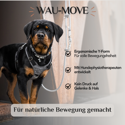 Hundegeschirr Cinnamon