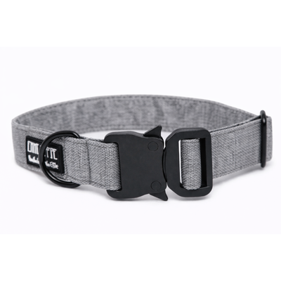 Graues Hundehalsband aus Stoff mit schwarzem Kunststoff-Sicherheitsverschluss und schwarzem Metallring zur Befestigung einer Leine. Das Halsband ist vor weißem Hintergrund fotografiert und zeigt eine breite, verstellbare Ausführung mit gepolsterter Innenseite. Auf einem kleinen Etikett am Ring ist ein Markenlogo zu erkennen.