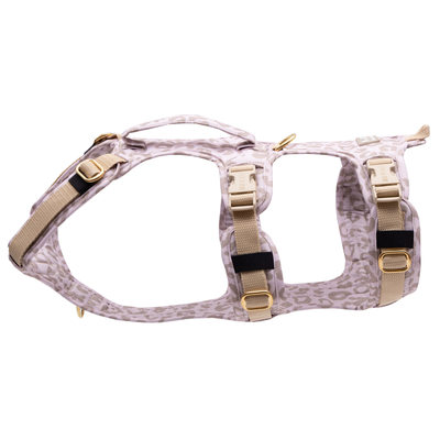 Wau-Safety Sicherheitsgeschirr Seitenansicht für Hunde auf weißem Hintergrund in der Farbe Leo Creme in Creme und Gold in Tier von EMMY & PEPE