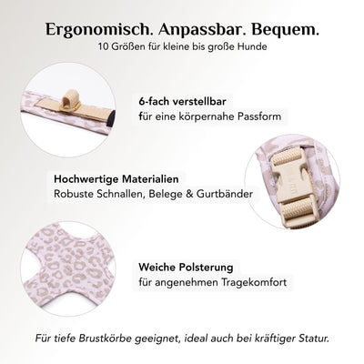 Gepolstertes Sicherheitsgeschirr für Hunde Leo Cream mit ergonomischer Passform und freier Schulterbewegung