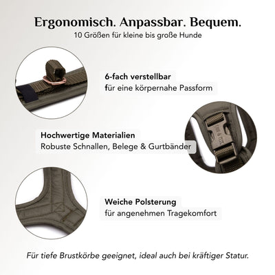 Gepolstertes Sicherheitsgeschirr für Hunde Lotte in Olivgrün mit ergonomischer Passform und freier Schulterbewegung