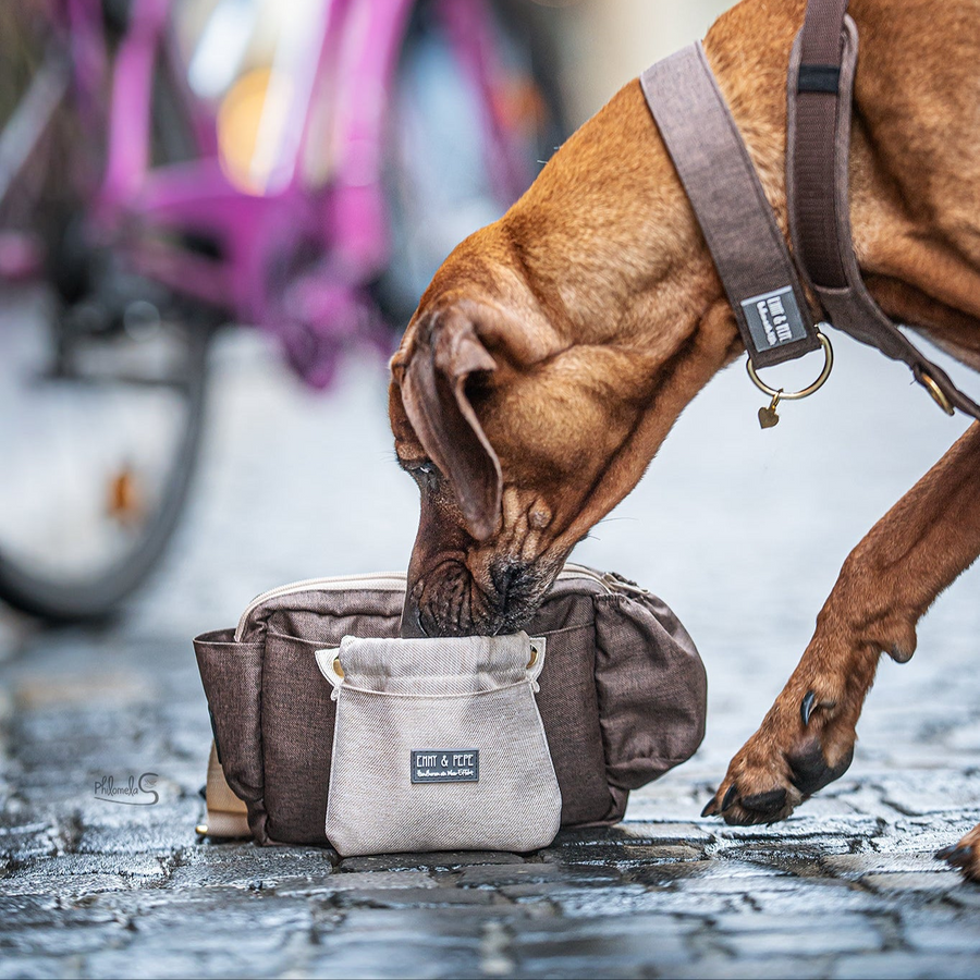 Hund schnüffelt in Tasche, hazel mit heller Wau-Pocket, Fahrräder im Hintergrund