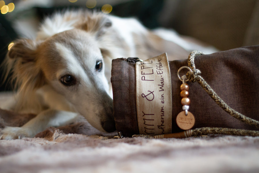 Wau-to-go Hazel , braune Kordelzug-Tasche mit geflochtenem Gurt, Hund kuschelt sich dran