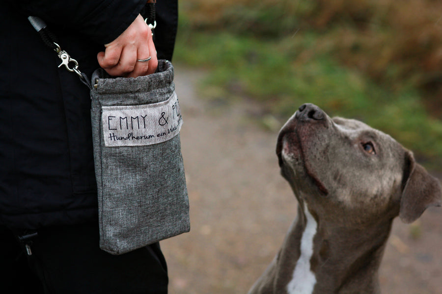 Wau-to-go graue Kordelzug-Tasche, wird in der Hand gehalten, Hund schaut hoch