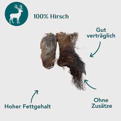 Wau-Knabber Hirschhaut freigestellt – 100 % Hirsch, hypoallergen, kollagenreich, ohne Zusätze