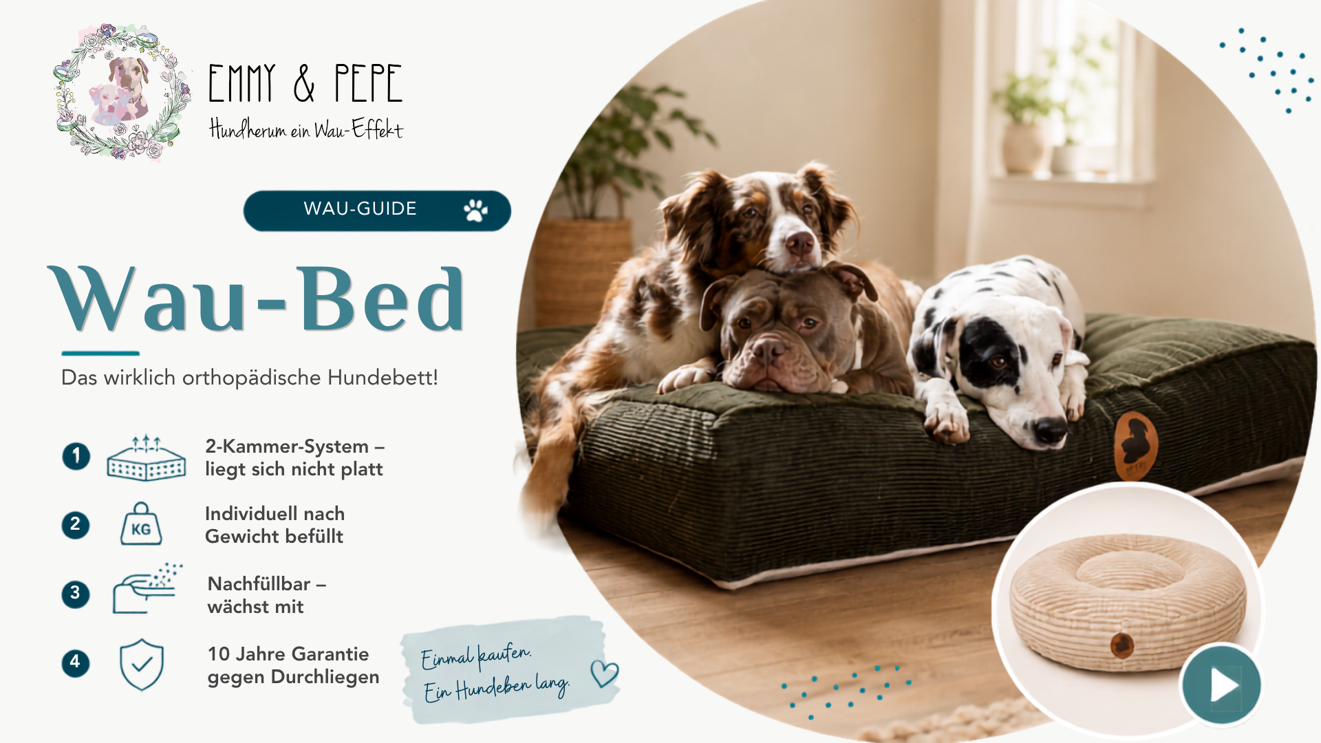 Video laden: Video: Vicki von EMMY &amp; PEPE erklärt, woran man ein wirklich orthopädisches Hundebett erkennt – Schaumkern, 2-Kammer-System, die richtige Größe und Bezugswahl – und stellt das nachfüllbare Wau-Bed mit 10 Jahren Garantie gegen Durchliegen vor.