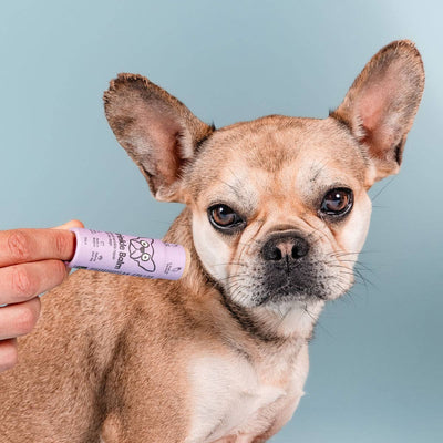 Faltenbalsam-Stift für Hunde