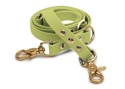 EMMY & PEPE Hundeleine Biothane Khaki mit Scherenkarabiner Gold