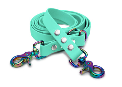 EMMY & PEPE Hundeleine Biothane Mintgrün mit Scherenkarabiner Regenbogen