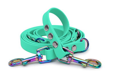 EMMY & PEPE Hundeleine Biothane Mintgrün mit Bolzenkarabiner Regenbogen