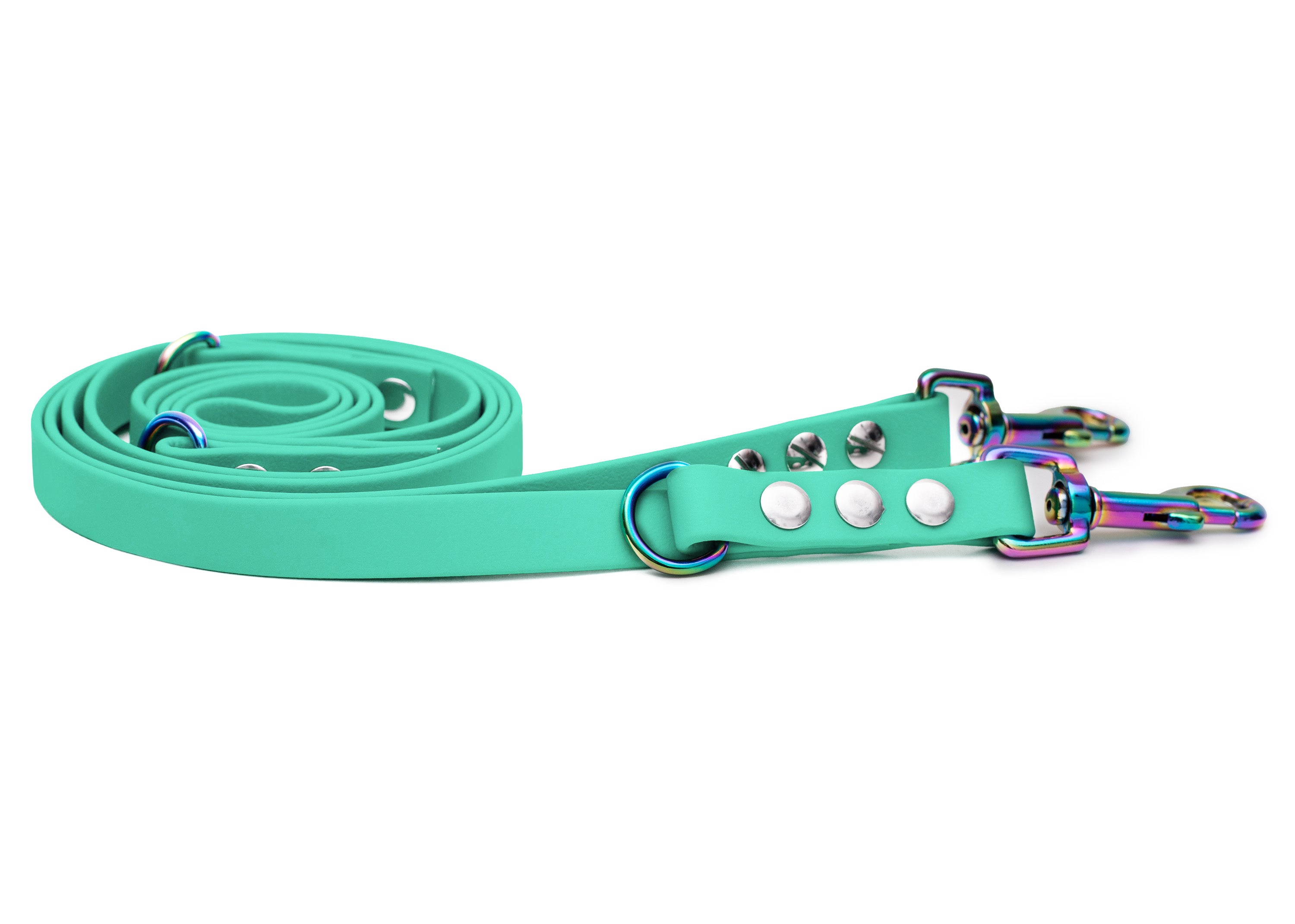 EMMY & PEPE Hundeleine Biothane Mintgrün mit Bolzenkarabiner Regenbogen