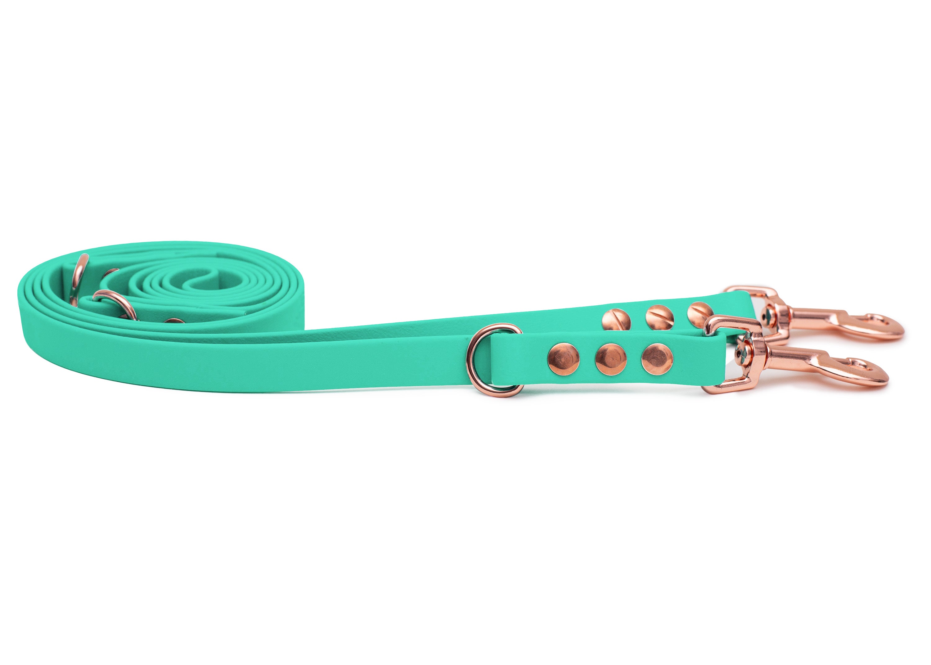 EMMY & PEPE Hundeleine Biothane Mintgrün mit Bolzenkarabiner Rosegold