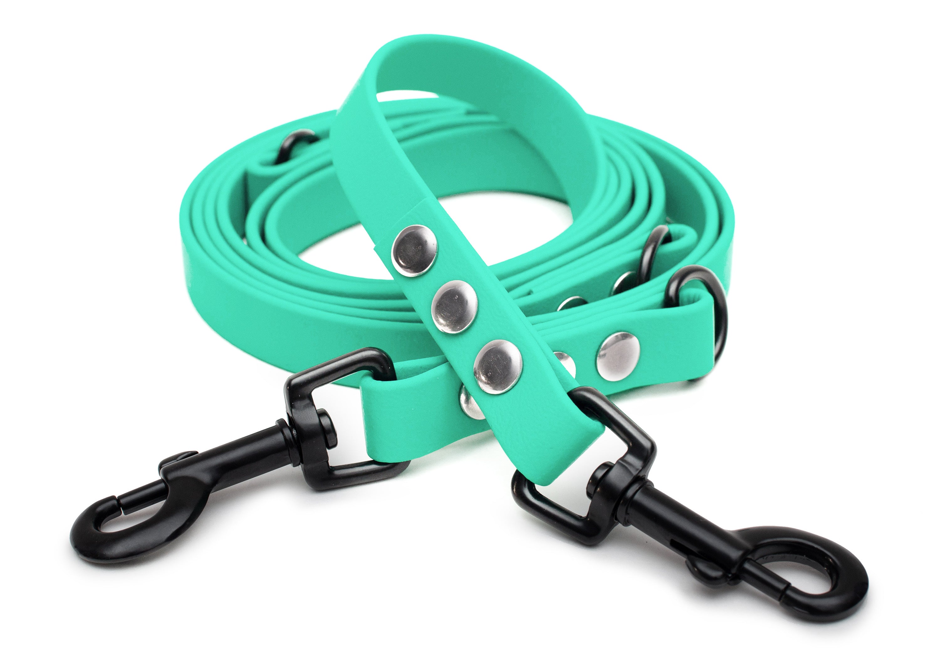 EMMY & PEPE Hundeleine Biothane Mintgrün mit Bolzenkarabiner Schwarz