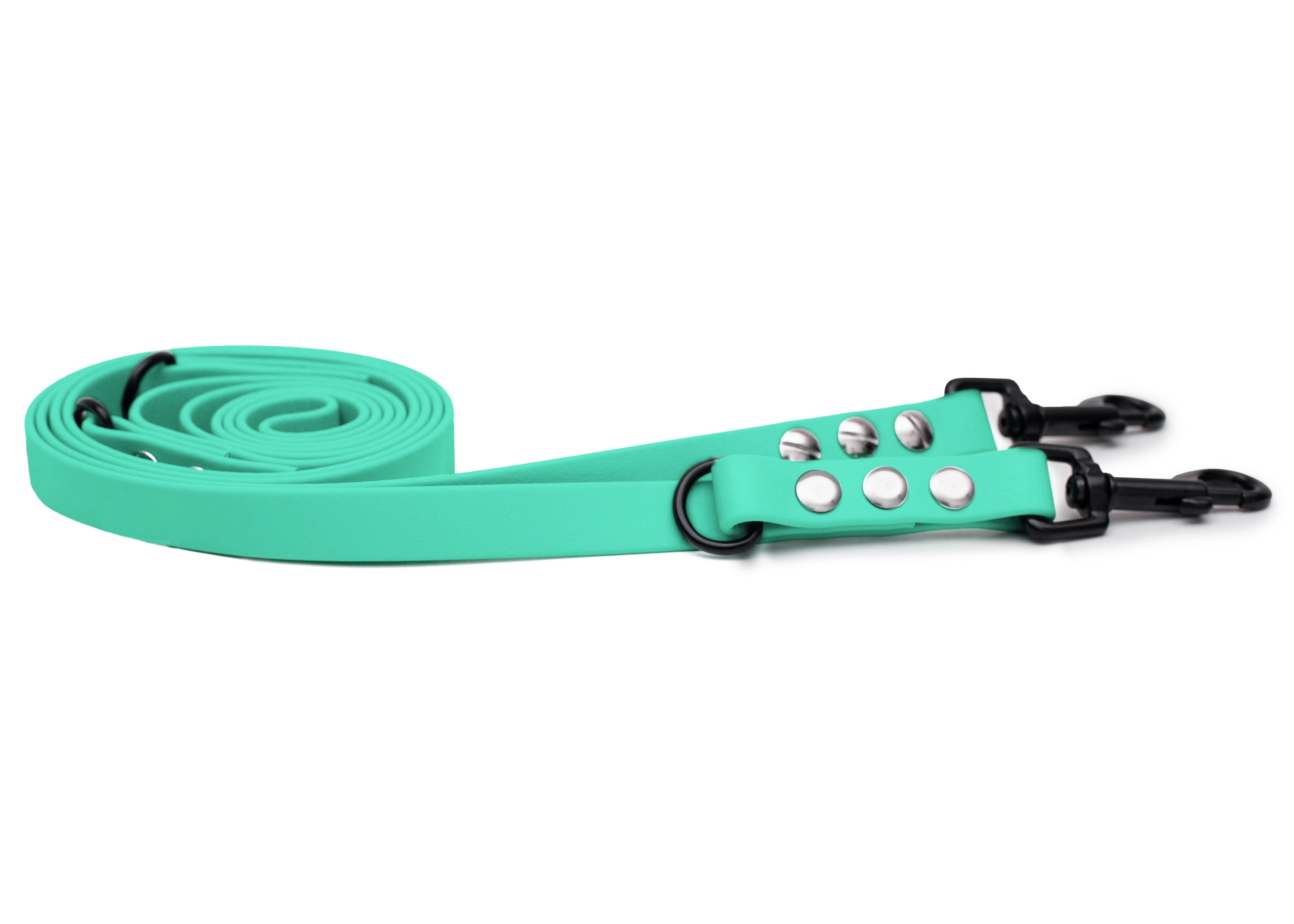 EMMY & PEPE Hundeleine Biothane Mintgrün mit Bolzenkarabiner Schwarz