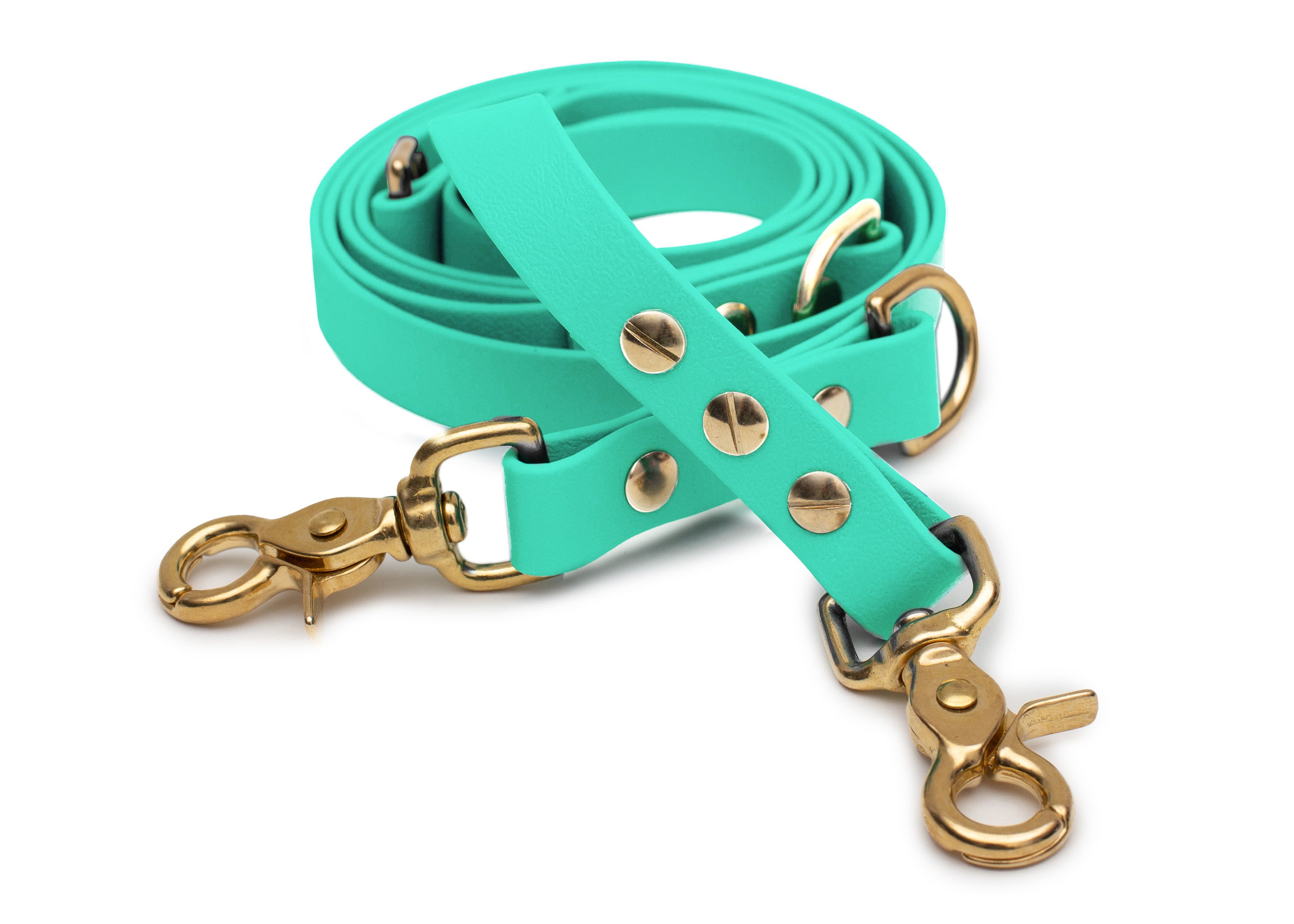 EMMY & PEPE Hundeleine Biothane Mintgrün mit Scherenkarabiner Gold