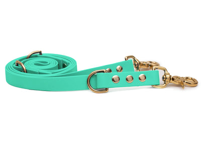 EMMY & PEPE Hundeleine Biothane Mintgrün mit Scherenkarabiner Gold