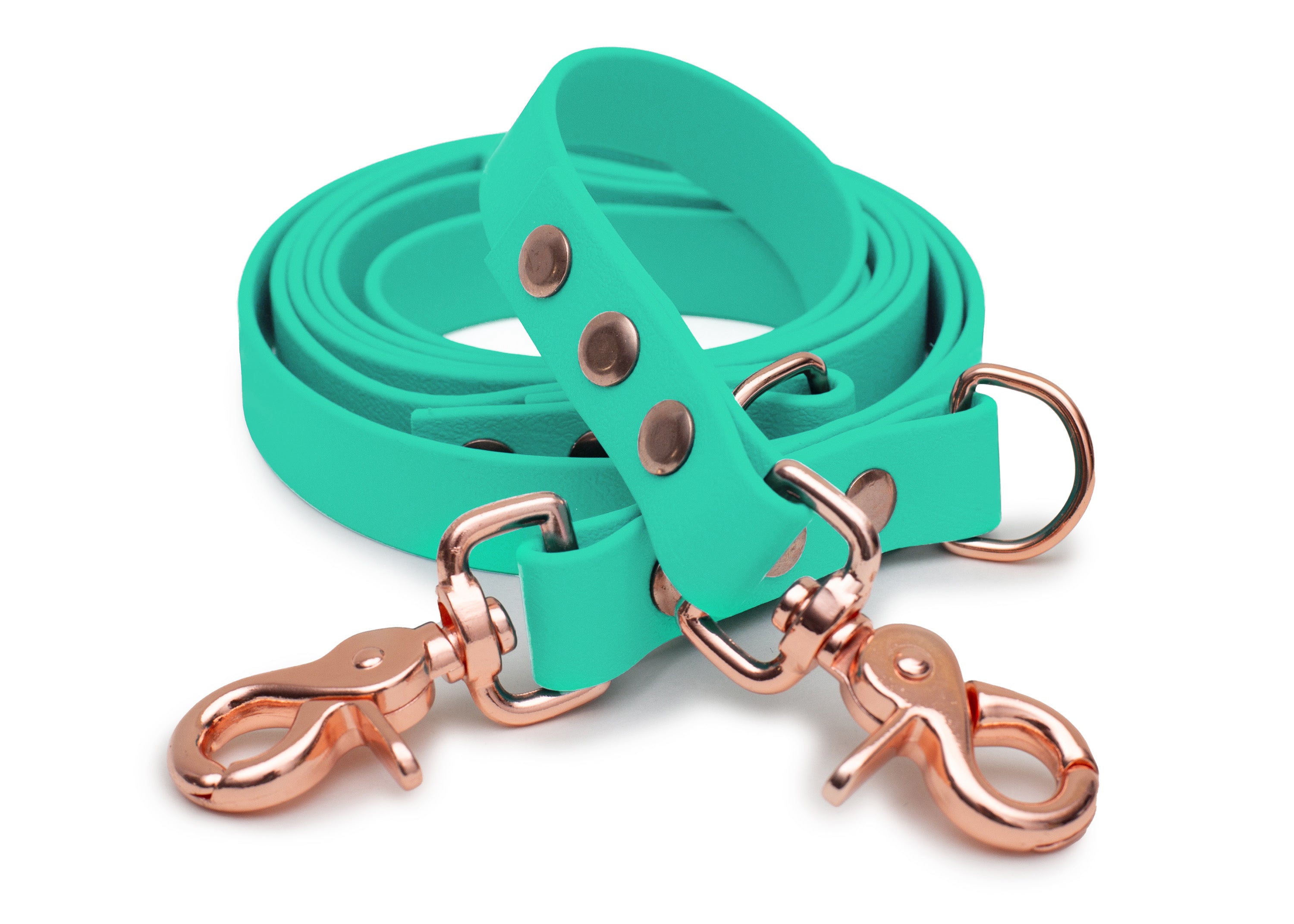 EMMY & PEPE Hundeleine Biothane Mintgrün mit Scherenkarabiner Rosegold