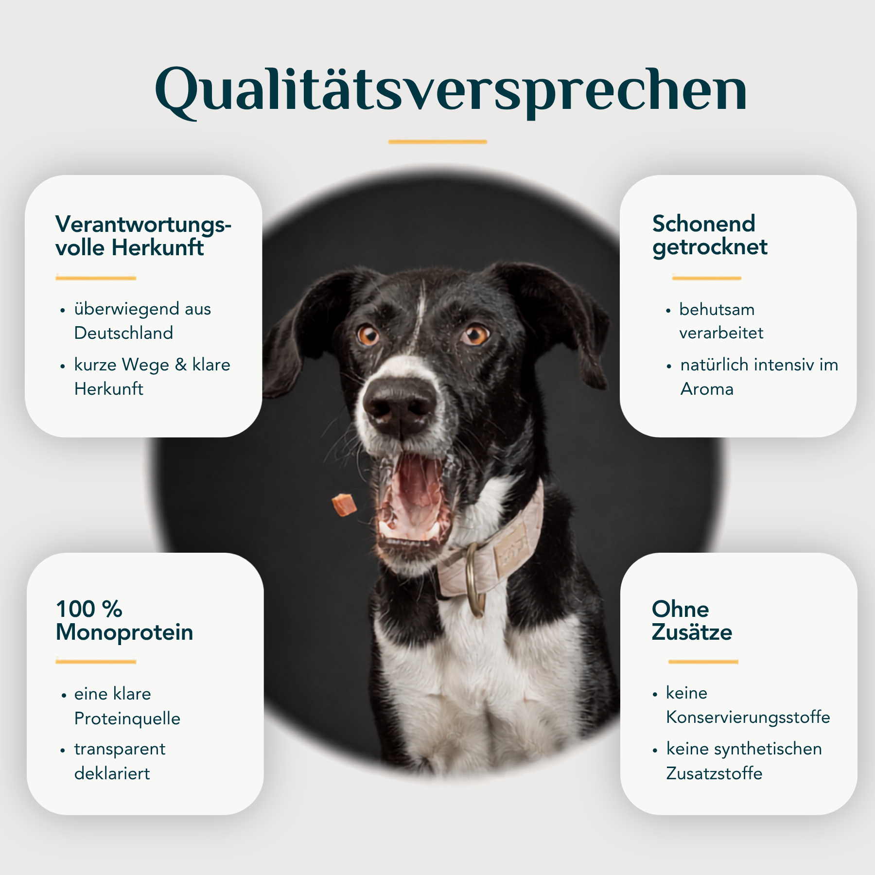 EMMY & PEPE Qualitätsversprechen Kauartikel – verantwortungsvolle Herkunft aus Deutschland und angrenzenden Ländern, schonend getrocknet, ohne Zusätze