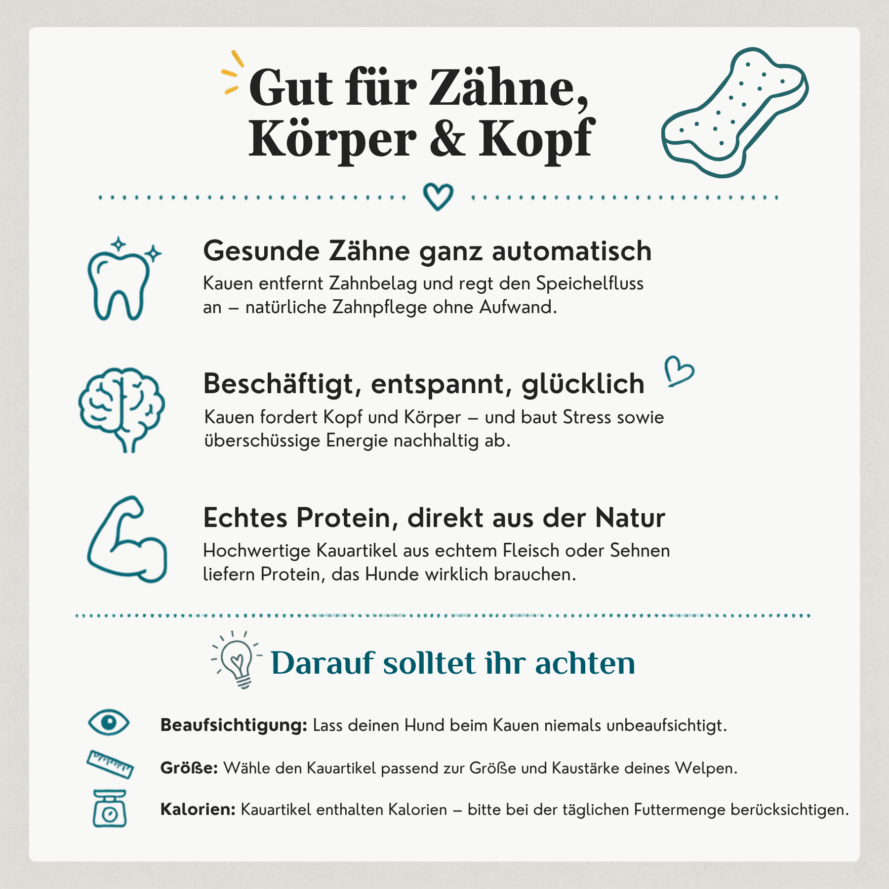 Warum Kauartikel gut für Hunde sind – natürliche Zahnpflege, Kaumuskeltraining und mentale Beschäftigung durch getrocknete Natursnacks