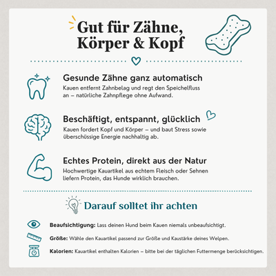 Warum Kauartikel gut für Hunde sind – natürliche Zahnpflege, Kaumuskeltraining und mentale Beschäftigung durch getrocknete Natursnacks