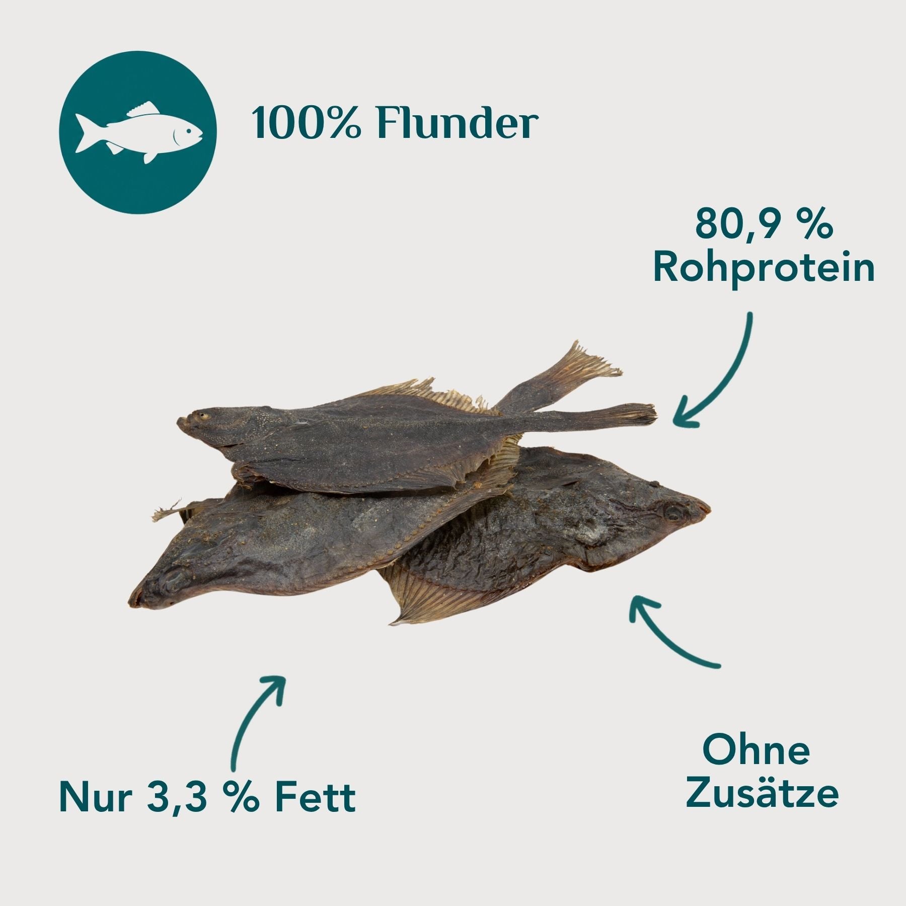 Wau-Knabber Flunder freigestellt – 100 % Flunder, natürliches Kalzium aus Fischgräten, hypoallergen, ohne Zusätze