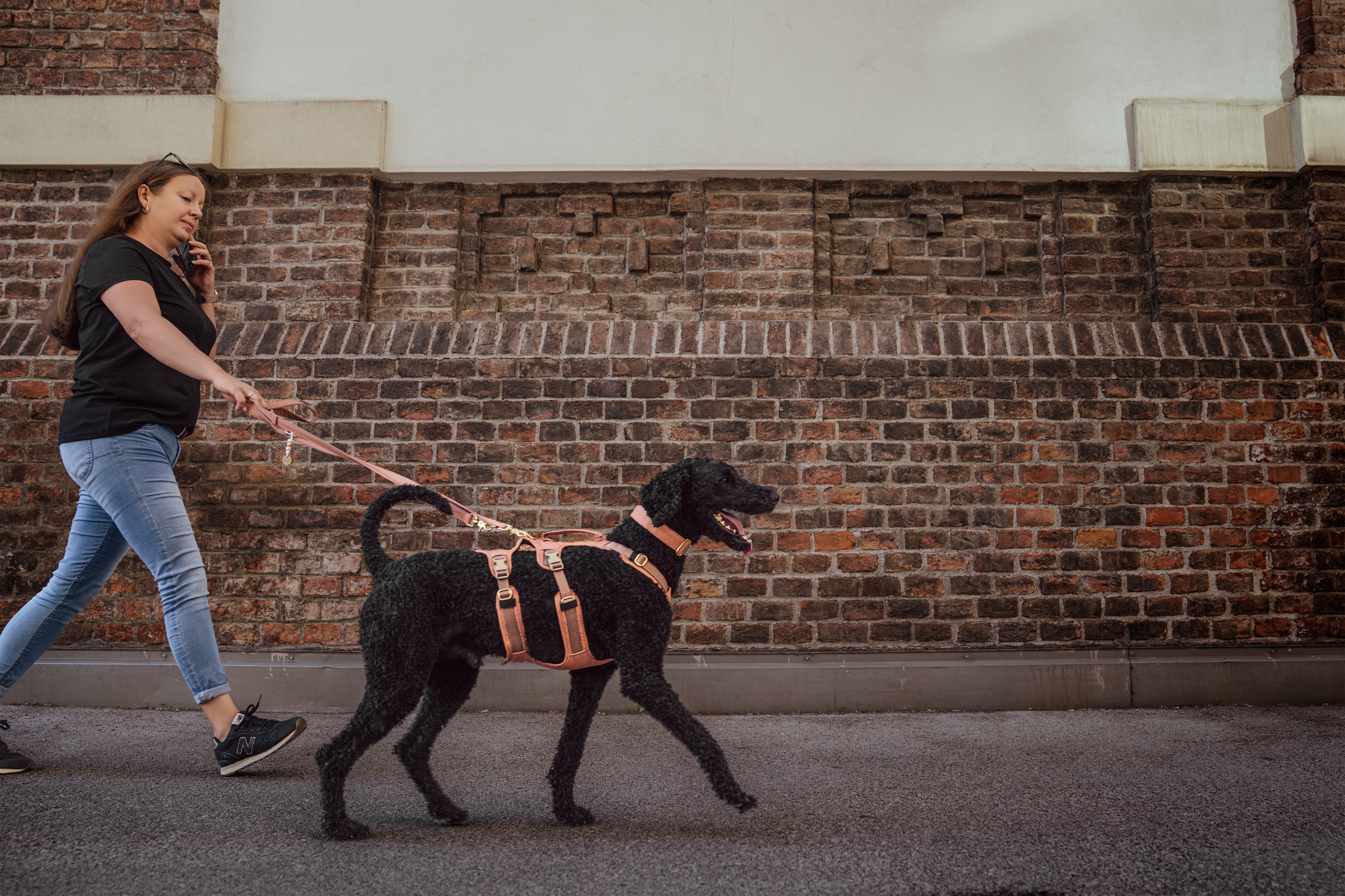 Frau geht mit ihrem Hund an der Leine und Hundegeschirr Safety Cinnamon an einer Backsteinwand entlang