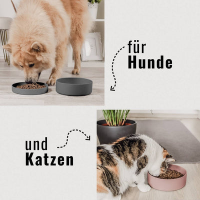 Silikon-Futternapf für Hunde und Katzen im Alltag
