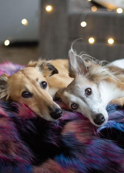 Wechselbezug  orthopädisches Hundebett Halli Galli Eckig / S (80x60cm),Eckig / M (100x80cm),Eckig / L (120x100cm),Eckig / XL (140x120cm),Oval / S (80x60cm),Oval / M (100x80cm),Oval / L (120x100cm),Oval / XL (140x120cm) Dark Slate Gray