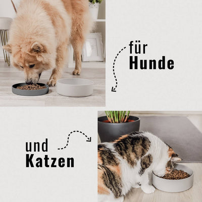 Futternapf aus Silikon für Hunde und Katzen