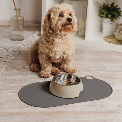 Moderne Napfunterlage aus Silikon im Einsatz mit Hund