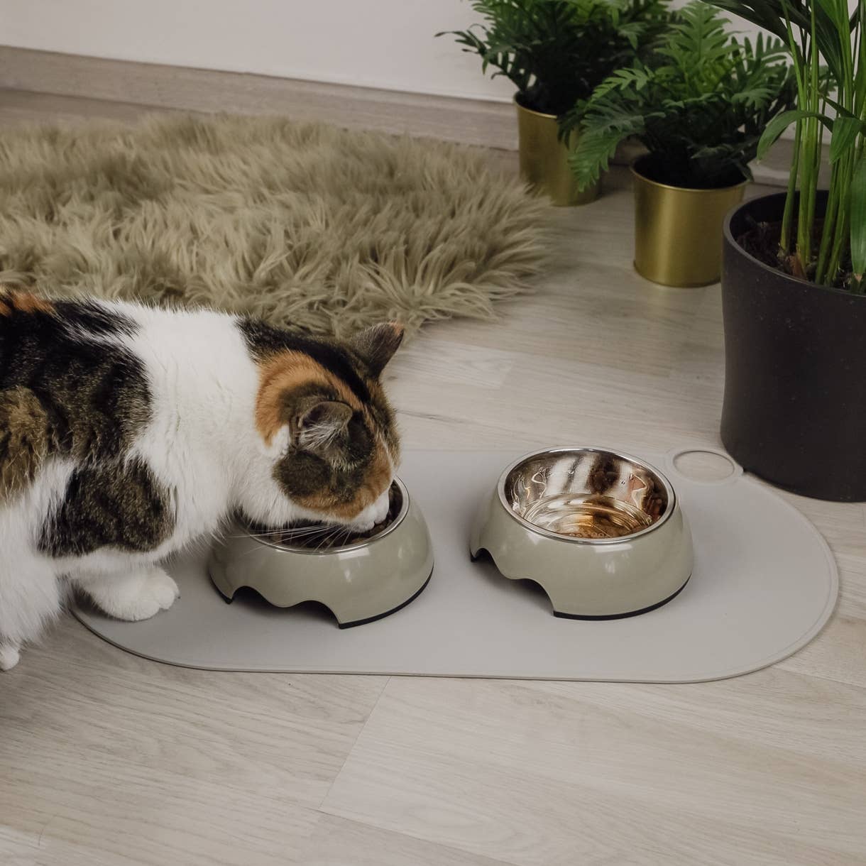 Silikon-Napfunterlage im Einsatz mit einer Katze