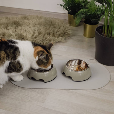 Silikon-Napfunterlage im Einsatz mit einer Katze