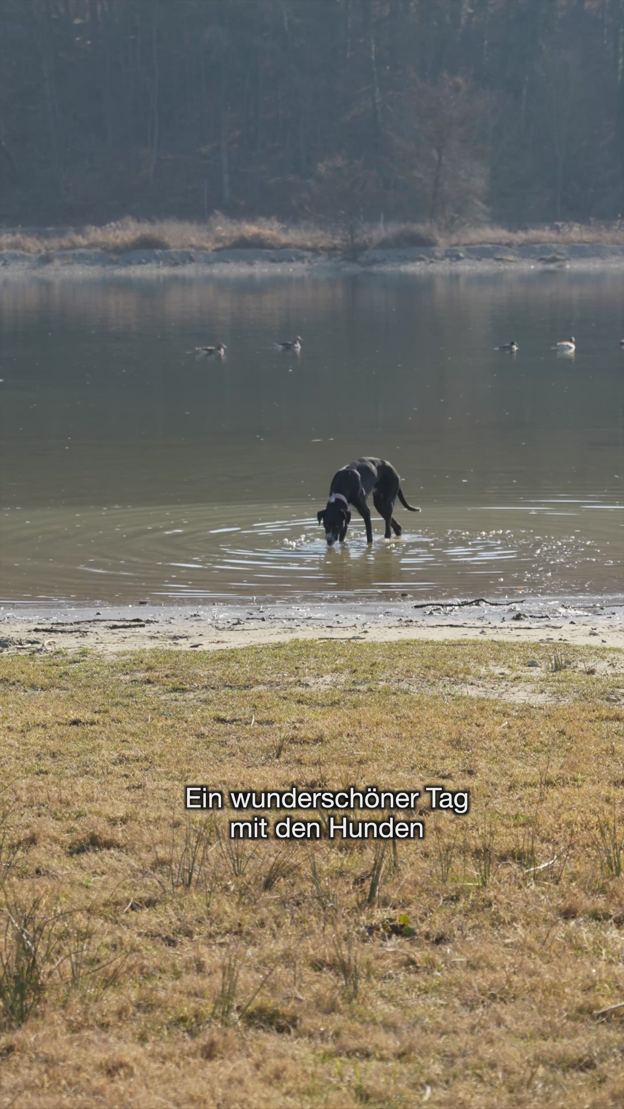 Load video: 