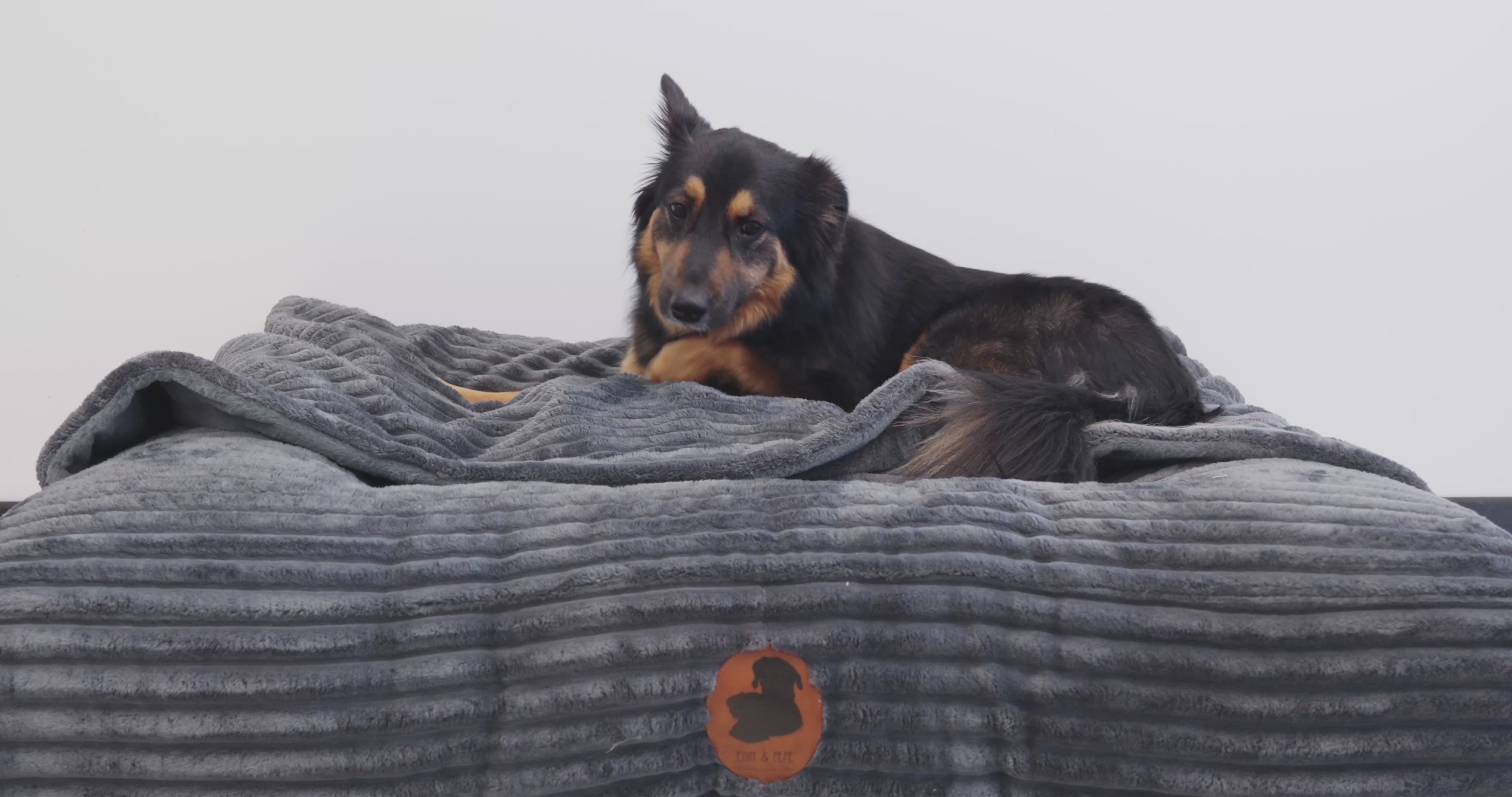 Video laden: &lt;p&gt;Das Wau-Bed mit Höhle ist weit mehr als nur ein Hundebett – es ist ein Rückzugsort, ein Ruhepol, ein Platz zum Ankommen. Die integrierte Höhle bietet deinem Hund eine geschützte Umgebung, die Sicherheit und Geborgenheit vermittelt. Perfekt für Hunde, die gerne eingekuschelt und ungestört entspannen.&lt;br/&gt;&lt;br/&gt;Die orthopädische Füllung stützt sanft die Gelenke, während sich die Höhlenform ideal an das natürliche Bedürfnis vieler Hunde anpasst, sich zu verstecken oder einzukuscheln. Ob für ein kurzes Nickerchen oder stundenlanges Dösen: Dieses Bett lädt zum Wohlfühlen ein.&lt;br/&gt;&lt;br/&gt;Ein stilvoller Rückzugsort für alle kleinen und großen Kuschelmonster – mit Liebe zum Detail und höchsten Ansprüchen an Qualität und Funktion.&lt;/p&gt;