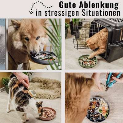 Schleckmatte sorgt für Beschäftigung und Entspannung bei Hunden und Katzen.