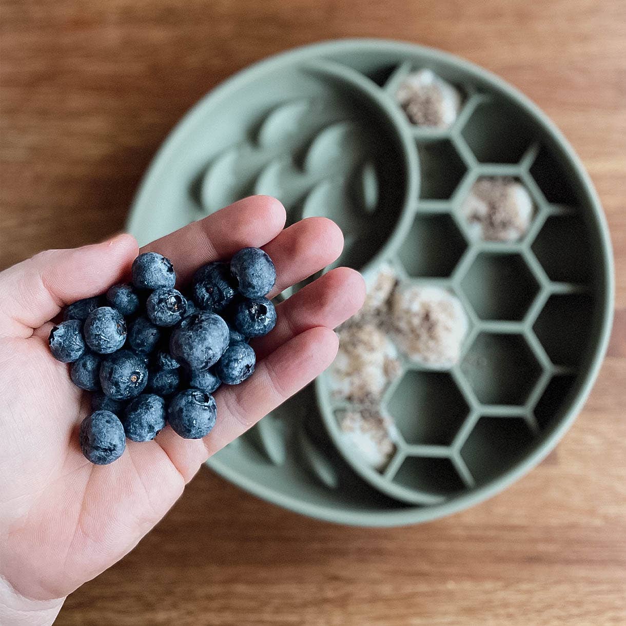 Schleckmatte mit Blaubeeren als gesunder Snack für Hunde und Katzen.