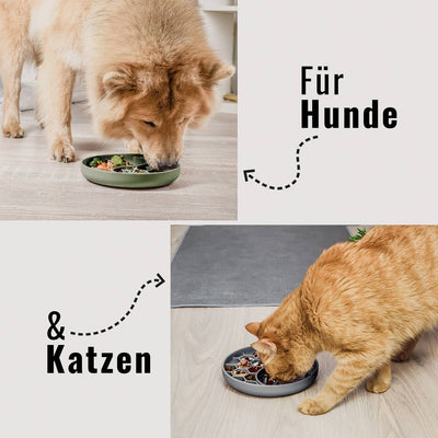 Schleckmatte und Anti-Schlingnapf für Hunde und Katzen geeignet.