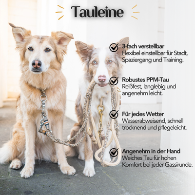Anwendungsbild der Tauleine von EMMY & PEPE. Die 3-fach verstellbare Hundeleine aus hochwertigem PPM-Tau überzeugt durch Komfort, Langlebigkeit und Wetterbeständigkeit.