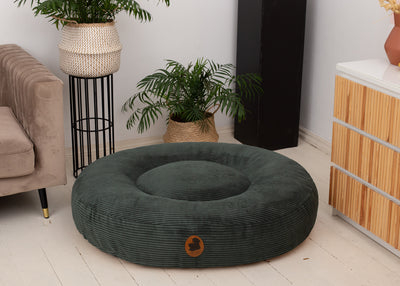 Wau-Bed orthopädisches Hundebett Cord Creme / Oval / Ansicht im Raumme / Oval / L (120x100cm),Creme / Oval / XL (140x120cm),Creme / Eckig / S (80x60cm),Creme / Eckig / M (100x80cm),Creme / Eckig / L (120x100cm),Creme / Eckig / XL (140x120cm),Green / Oval / S (80x60cm),Green / Oval / M (100x80cm),Green / Oval / L (120x100cm),Green / Oval / XL (140x120cm),Green / Eckig / S (80x60cm),Green / Eckig / M (100x80cm),Green / Eckig / L (120x100cm),Green / Eckig / XL (140x120cm),Dark Grey / Oval / S (80x60cm),Dark