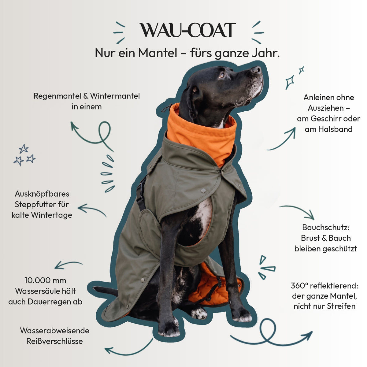 Wau-Coat Funktionen: 2-in-1, anleinen an Geschirr oder Halsband, Steppfutter, 10.000 mm Wassersäule, 360° reflektierend