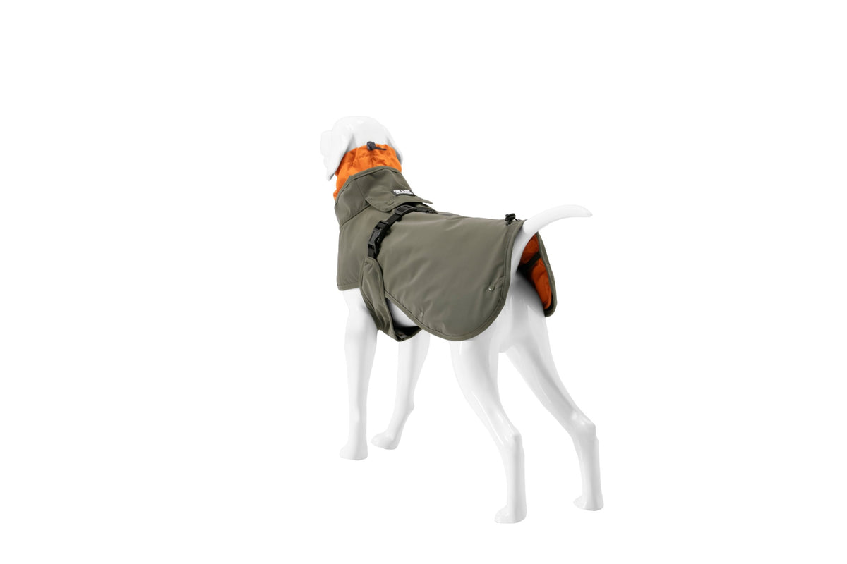 Wau-Coat Olive von hinten mit verstellbarem Gurt und Kordelstopper am Saum