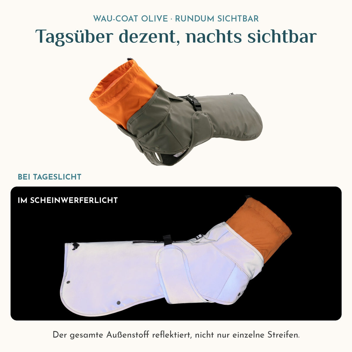 Wau-Coat Olive bei Tageslicht und im Scheinwerferlicht: Der gesamte Außenstoff reflektiert