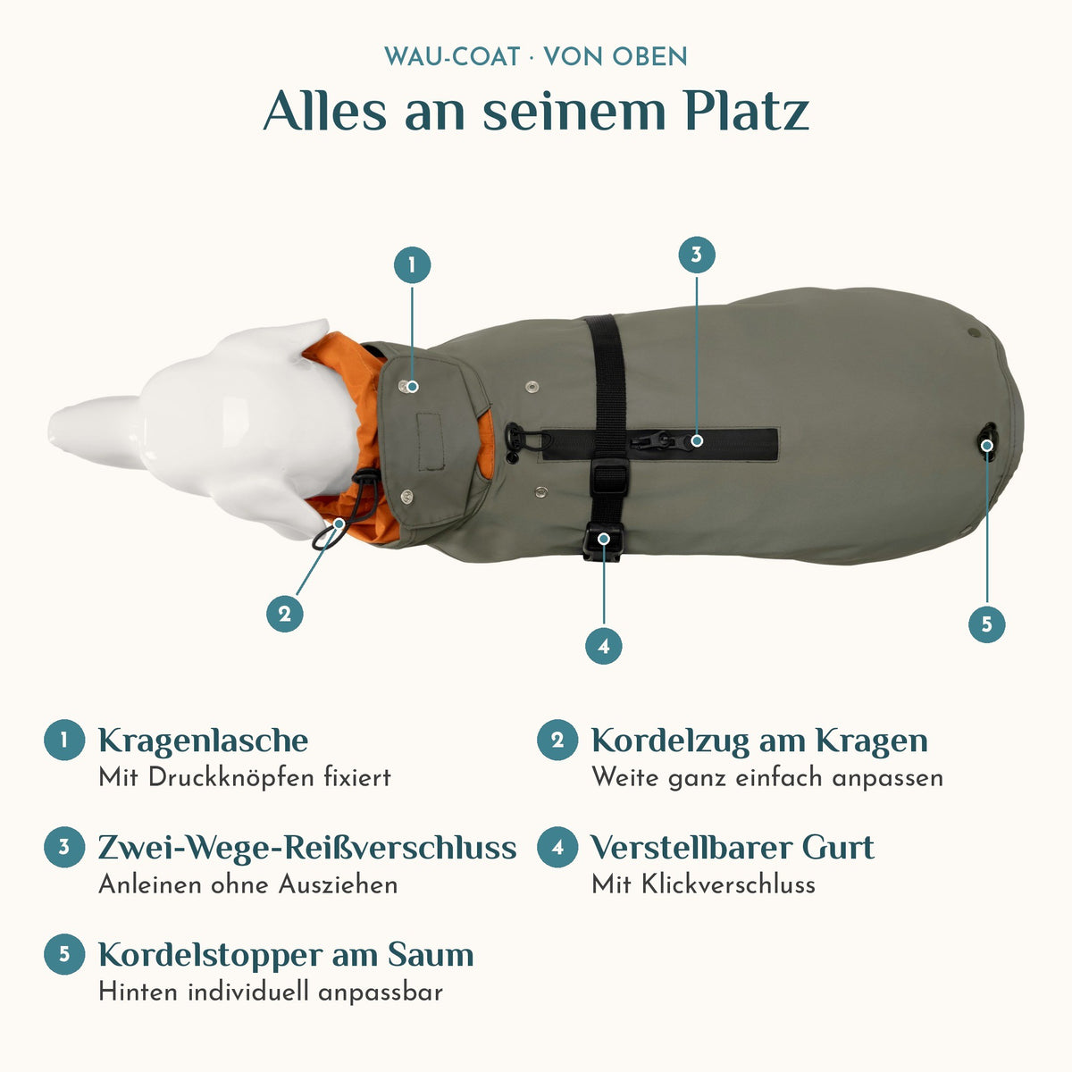 Wau-Coat von oben: Zwei-Wege-Reißverschluss, Kordelzug am Kragen und verstellbarer Gurt