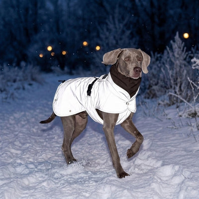 Wau-Coat Taupe reflektiert nachts silbern – rundum reflektierender Hundemantel für dunkle Gassirunden