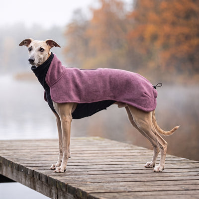 Whippet im Wau-Jumper Hundepullover Beere am See