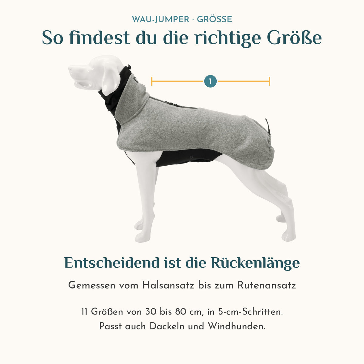 Hundepullover-Größe finden: Rückenlänge messen, 11 Größen von 30 bis 80 cm, passt auch Dackeln und Windhunden