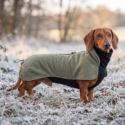 Dackel im Wau-Jumper Hundepullover Olive auf einer Wiese mit Raureif