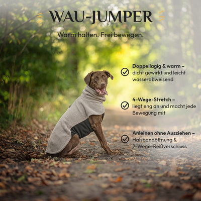 Labrador im Wau-Jumper Hundepullover Taupe: doppellagig warm, 4-Wege-Stretch, anleinen ohne Ausziehen